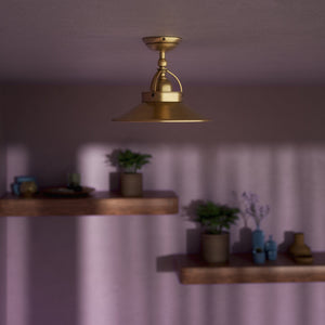 Industrial brass ceiling lamp with adjustable joint and 25 cm shade, perfect for kitchens and living rooms by Ghidini 1849 - Finish: OBS Bronze Satin Brass