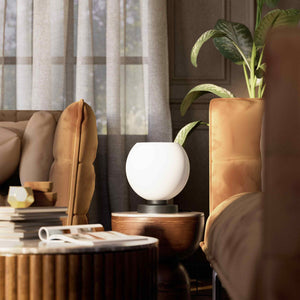 Brass table lamp with frosted glass globe, sophisticated lighting for interiors - Finish: OBR Dark Bronze