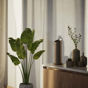 Brass table lamp with a sleek cylindrical shape and circular base, ideal for contemporary and elegant interiors by Ghidini 1849 - Finish: OBM Bronze Satin Matt Brass