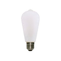 LED Light Bulb Edison